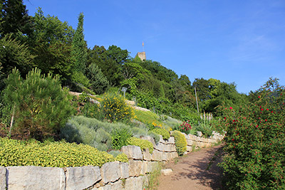 Hildegard von Bingen-Garten Badenweiler